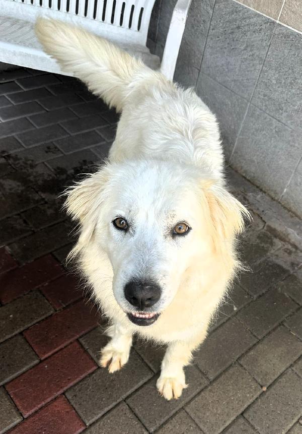 CHIARA MAREMMANA Foto 5